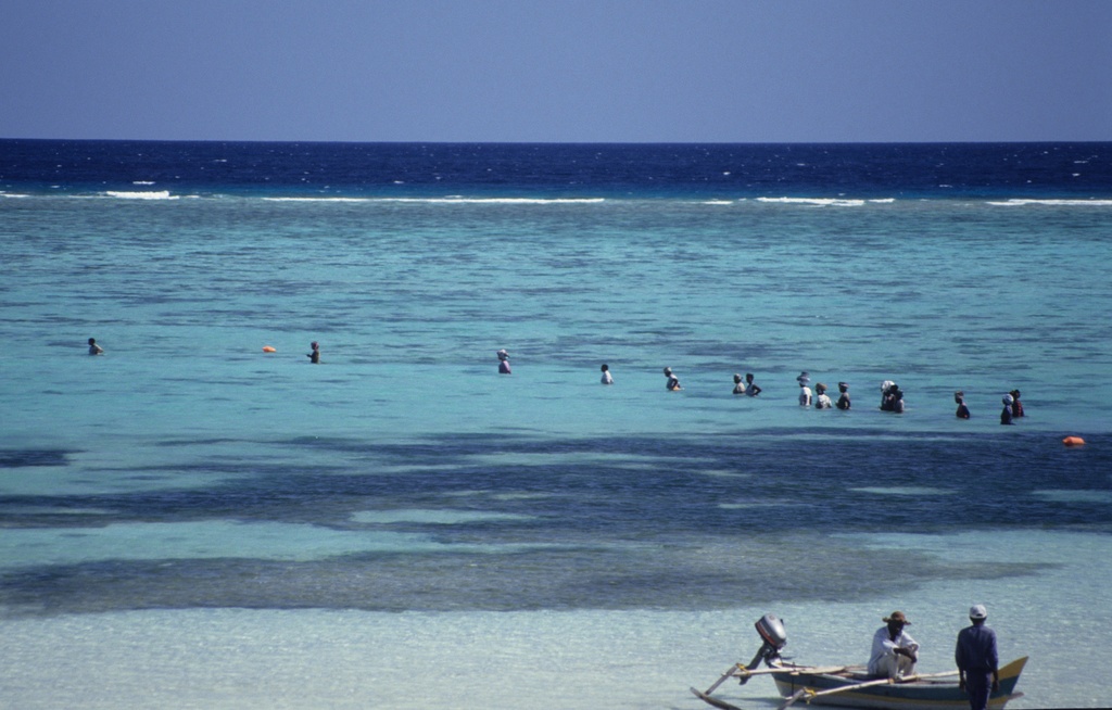 World Ocean Day: The Fishmongers’ Company Ocean Conservation Programme